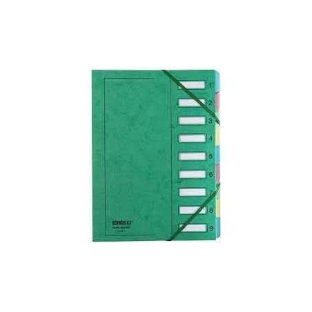 Extendos Mon Dossier Trieur en carte forte vernie 6 compartiments Vert